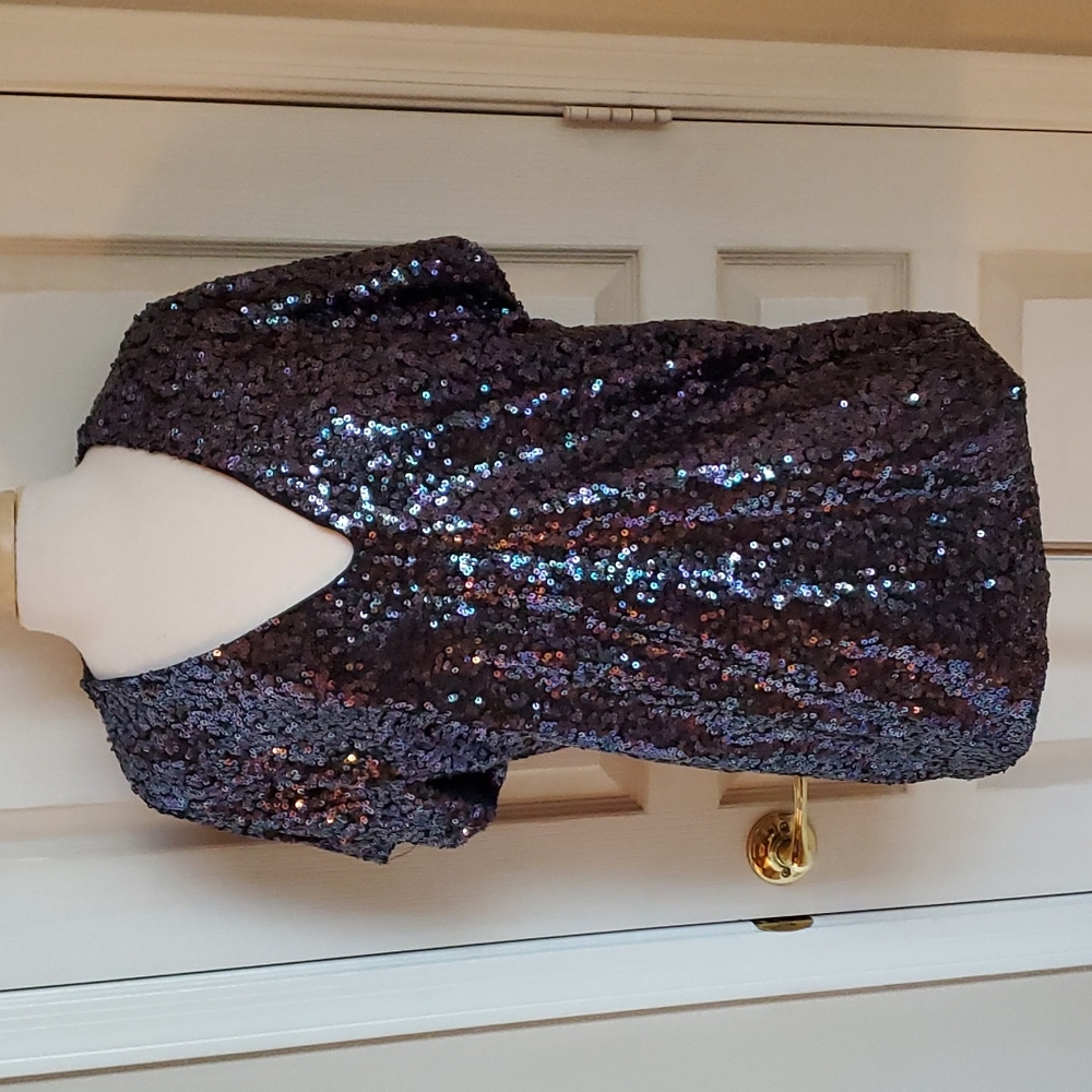 Sequin Mini Dress/Tunic